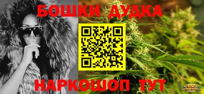 PSILOCYBIN Гусиноозёрск