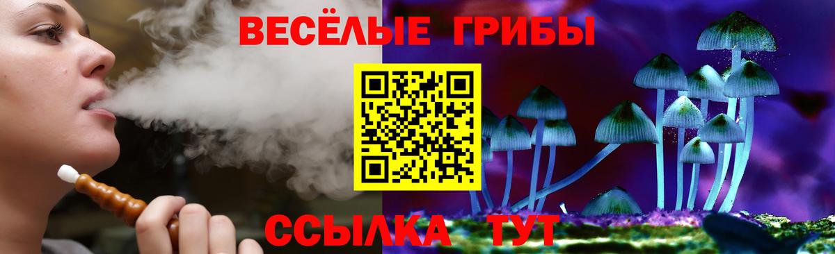 Галлюциногенные грибы Cubensis Нефтекамск